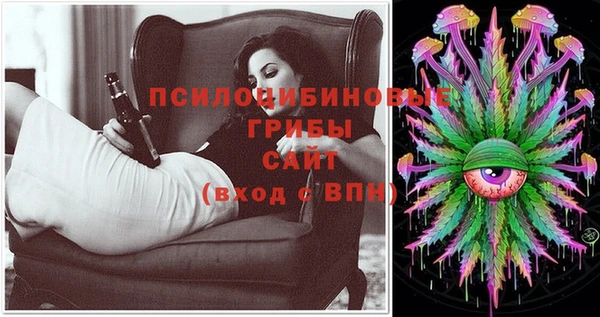 хмурый Алексеевка