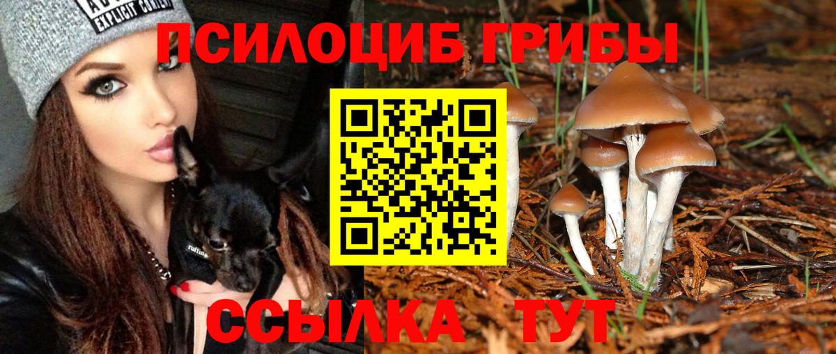 Галлюциногенные грибы мухоморы  Вход с VPN  Нурлат  Галлюциногенные грибы MAGIC MUSHROOMS 