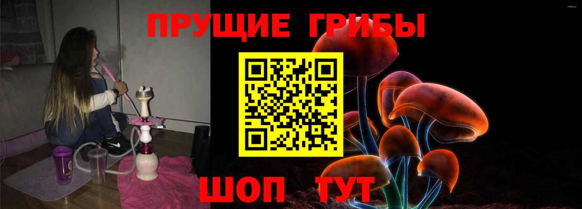 Галлюциногенные грибы Psilocybine cubensis Нурлат